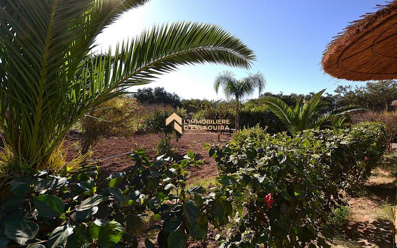 Villa Had Dra_VNA (18)